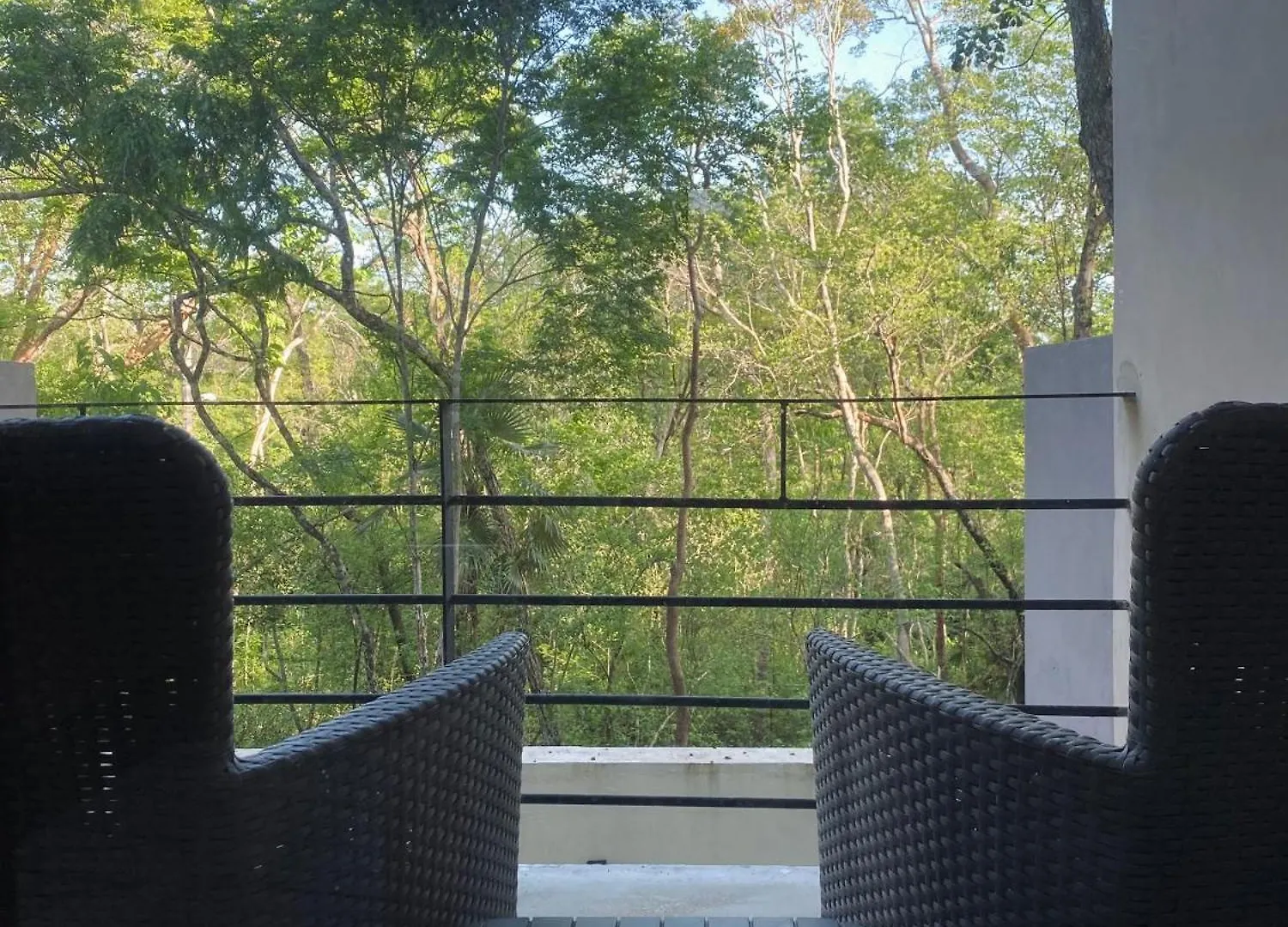 La Veleta Modern Jungle Living Διαμέρισμα Τουλούμ Μεξικό